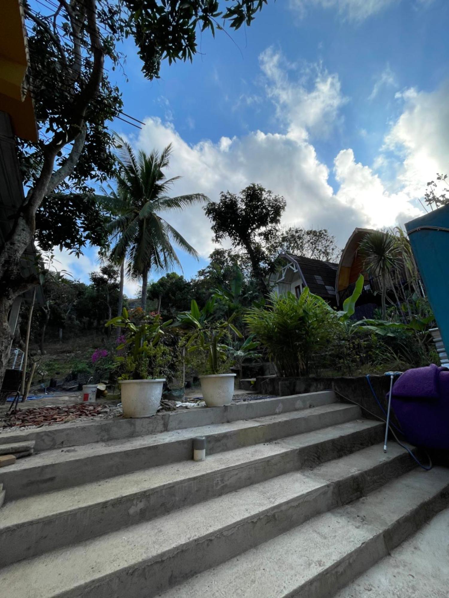 Tri Putri Homestay Kuta  Eksteriør billede