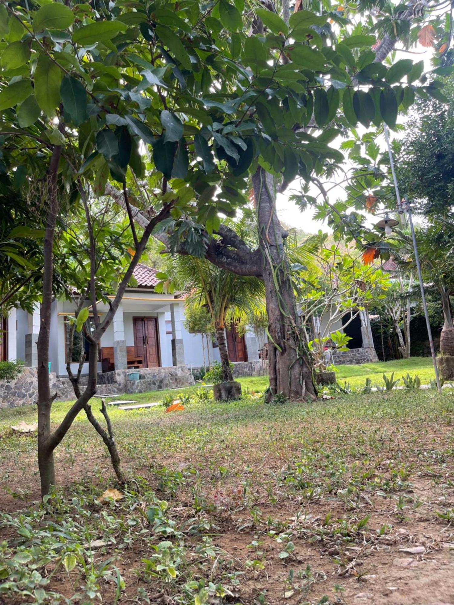 Tri Putri Homestay Kuta  Eksteriør billede